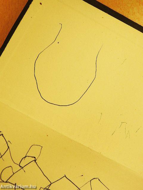 Francia-magyar szótár