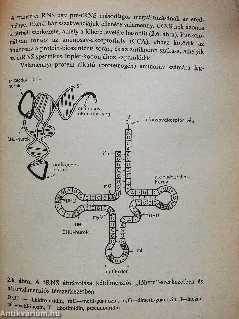 Botanikai kompendium