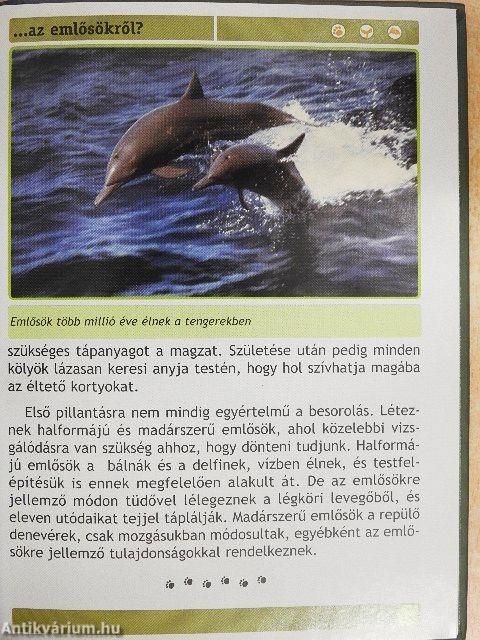 Mit kell tudni az emlősökről?