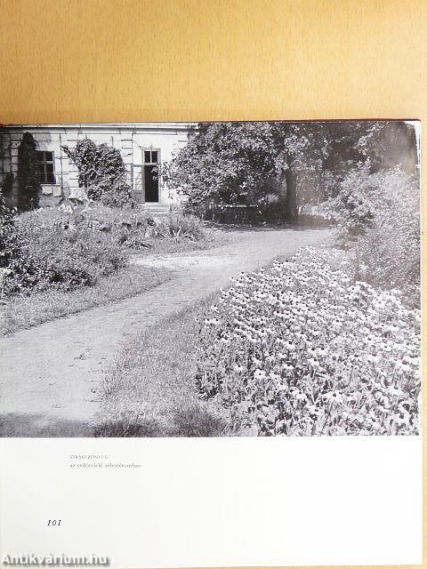 Védett természeti ritkaságaink