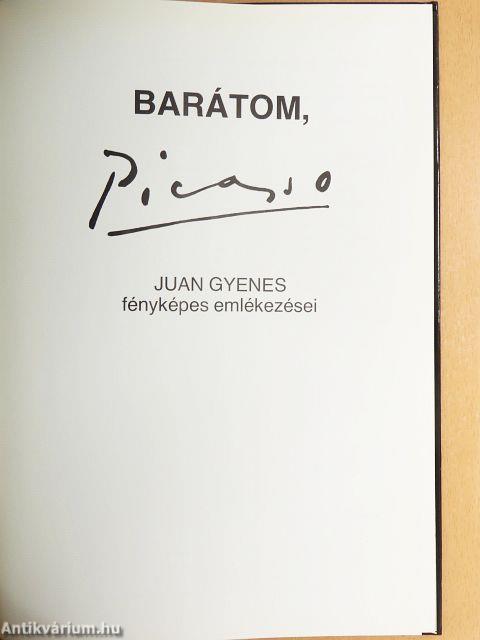 Barátom, Picasso