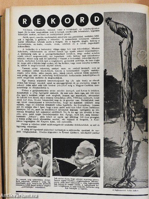 Magyar Cserkész 1934. (nem teljes évfolyam)/1935. január-junius