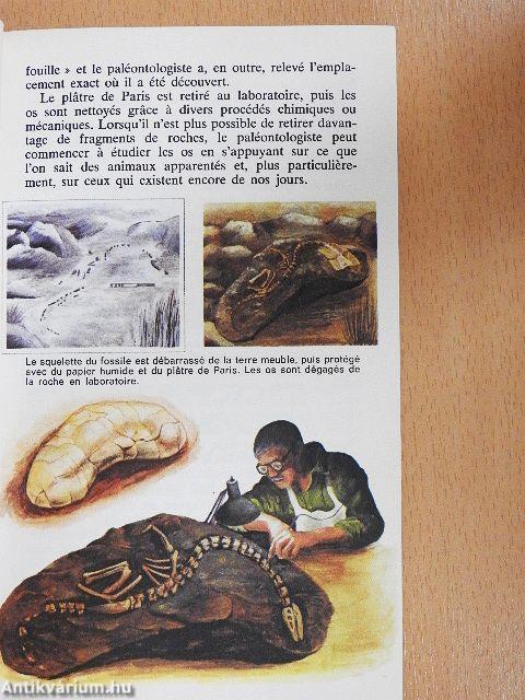 Les animaux préhistoriques