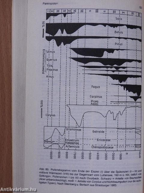 Biogeographie, Artbildung, Evolution