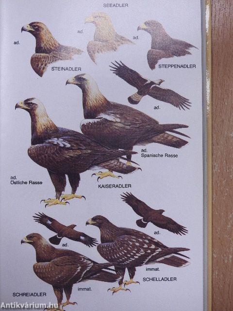 Die Vögel Europas