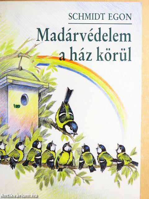 Madárvédelem a ház körül