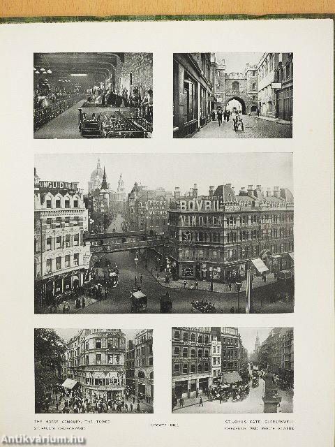 Three hundred and fifty views