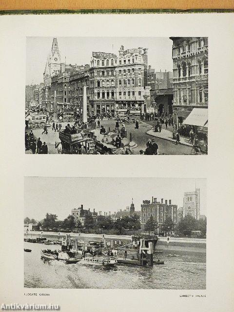 Three hundred and fifty views