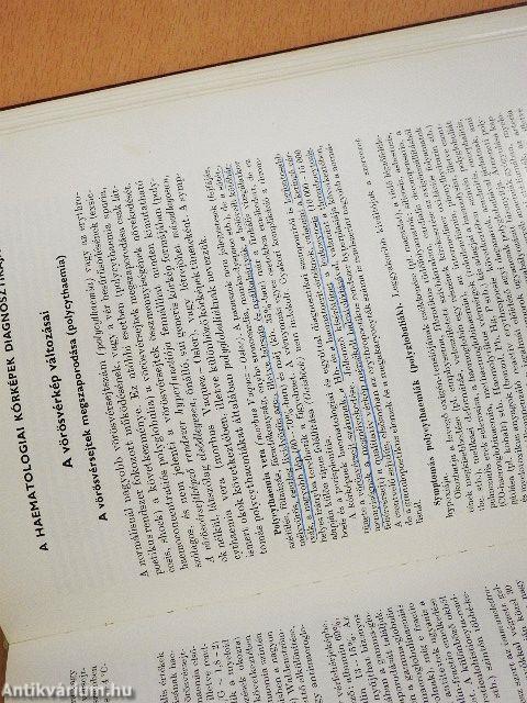 Belgyógyászati diagnosztika