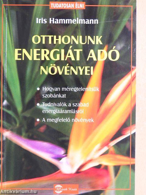 Otthonunk energiát adó növényei