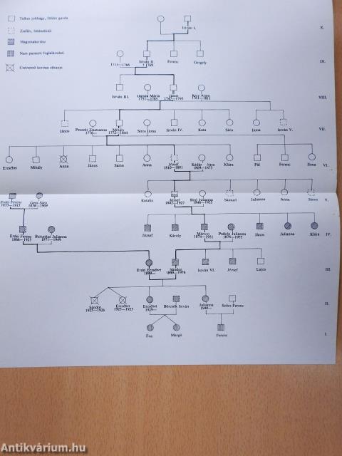 Egy makói hagymás család életútja (dedikált példány)
