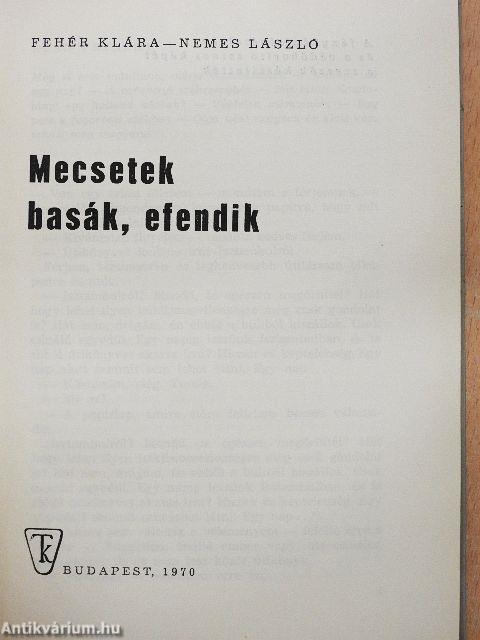 Mecsetek, basák, efendik