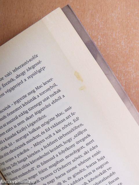 Fénykép ezüstkeretben