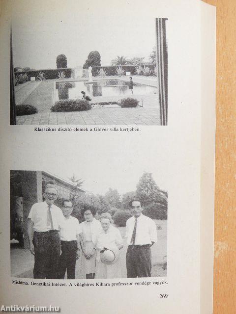 Kelet, az ezerarcú óriás