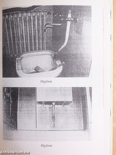 A tékozló koldus 2.