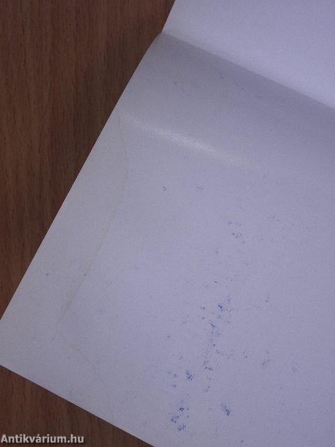 Munka-pályatanácsadás mint professzió