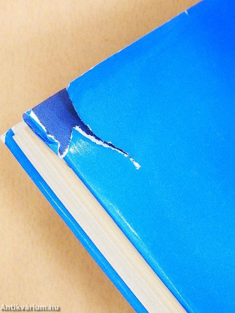 Szabálytalan szerelem