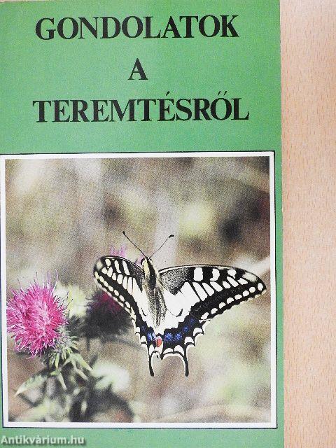 Gondolatok a teremtésről