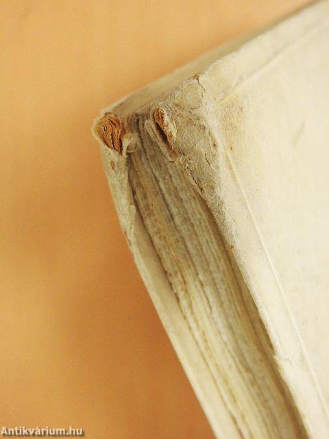 La Leggenda Francescana