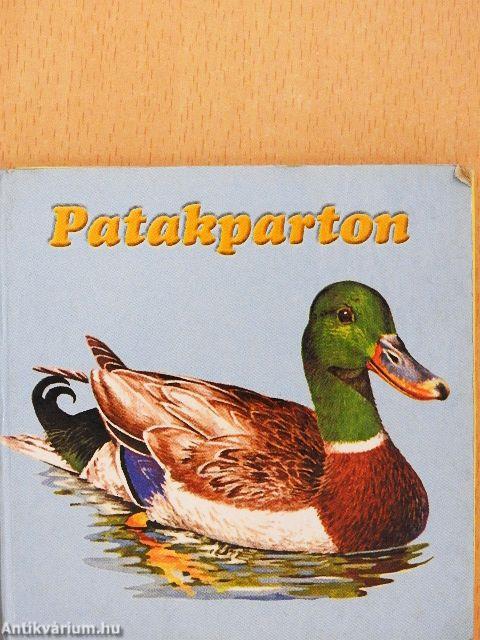 Patakparton