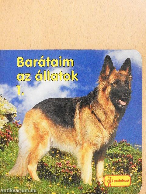 Barátaim az állatok 1.