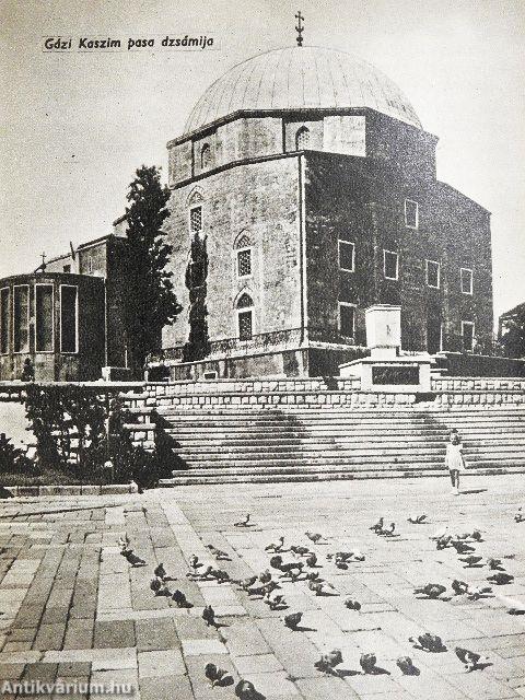 Pécsi program
