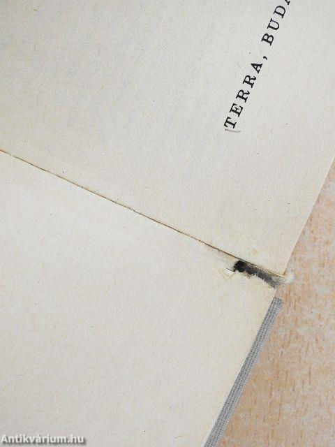 Anglicizmusok - amerikanizmusok