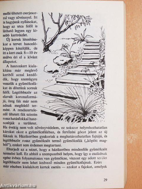 Nagy öröm a kiskert!