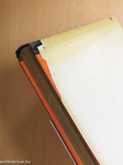 Mire gondolsz Ádám?