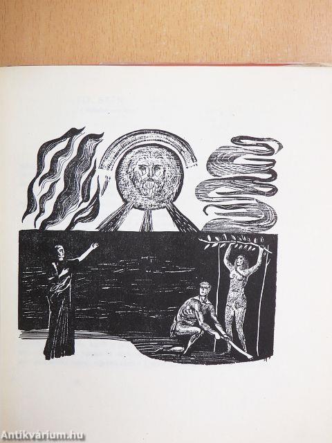 Mire gondolsz Ádám?