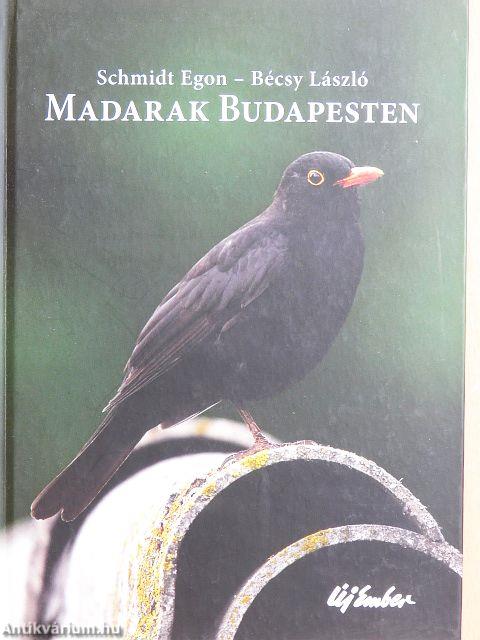 Madarak Budapesten