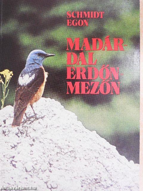 Madárdal erdőn-mezőn