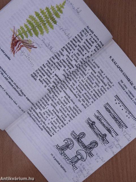 Biológiai alapismeretek