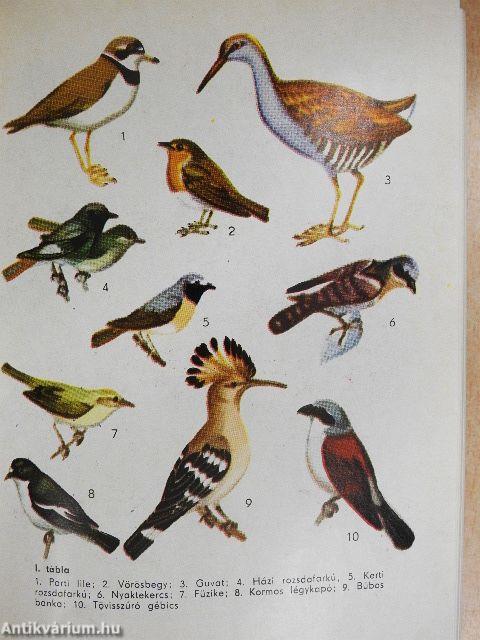 A természet kalendáriuma 1972