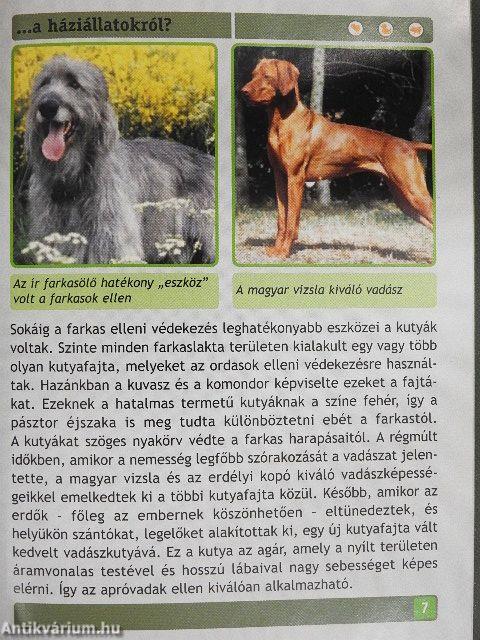 Mit kell tudni a háziállatokról?