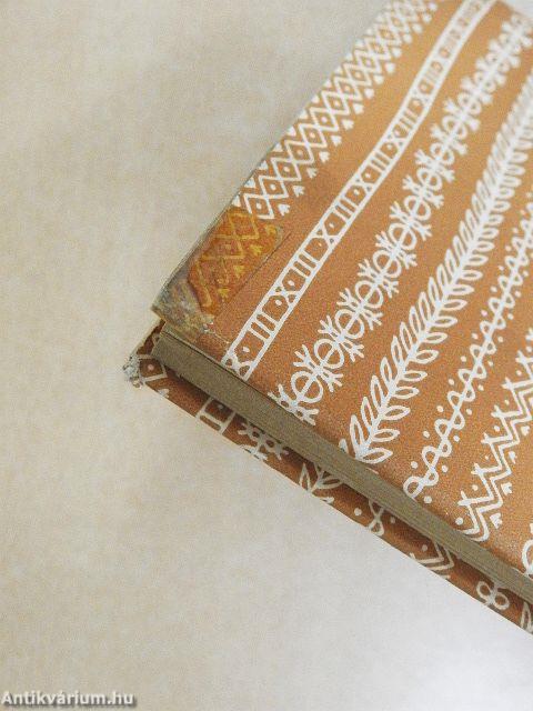 "Hazámnak akartam szolgálni"