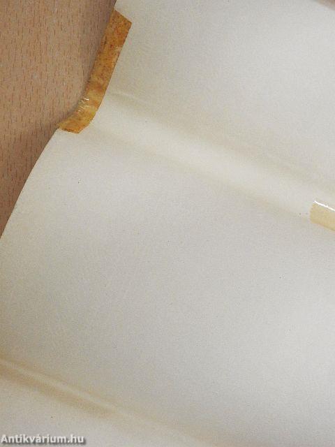 "Hazámnak akartam szolgálni"