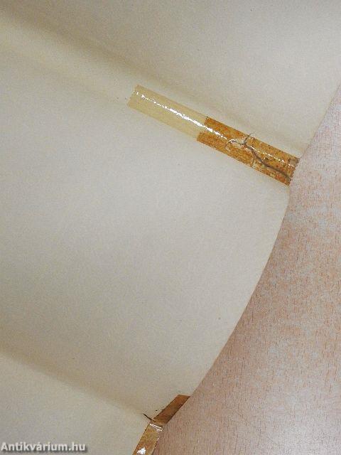 "Hazámnak akartam szolgálni"