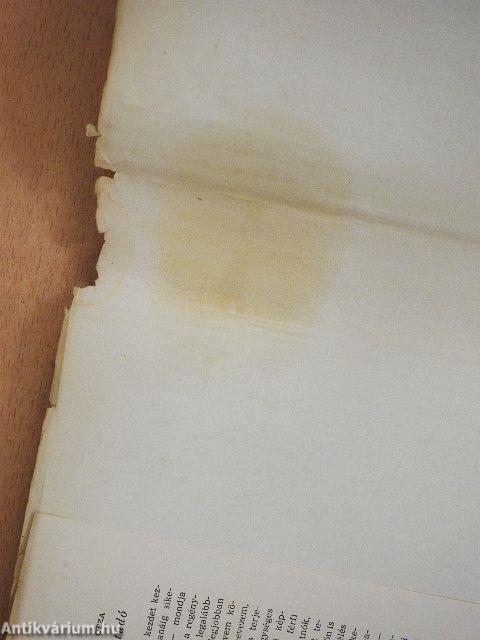 Az írástudó I-II.