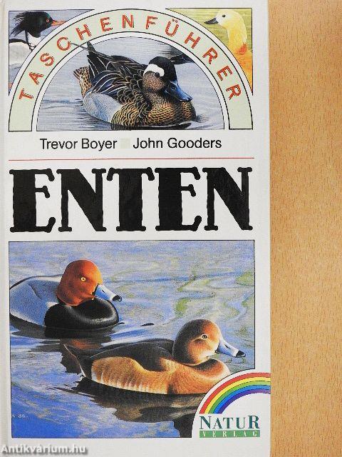 Enten