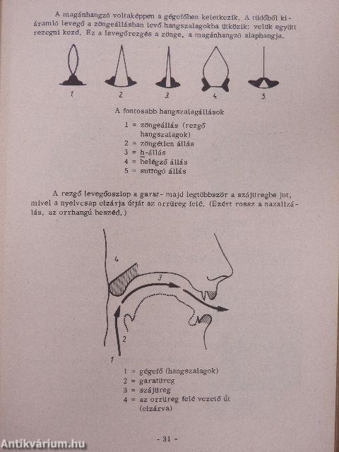 Beszédművelés