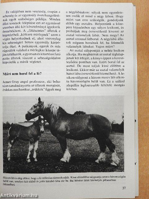 Eleven találmányok