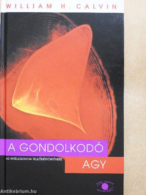 A gondolkodó agy