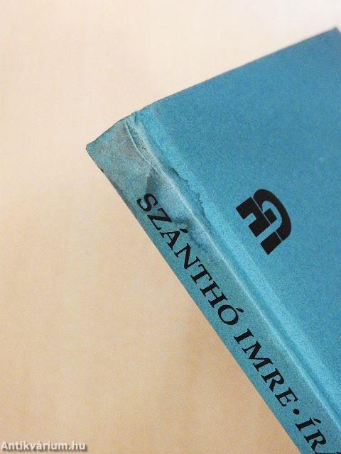 Szentendrei pillanatok