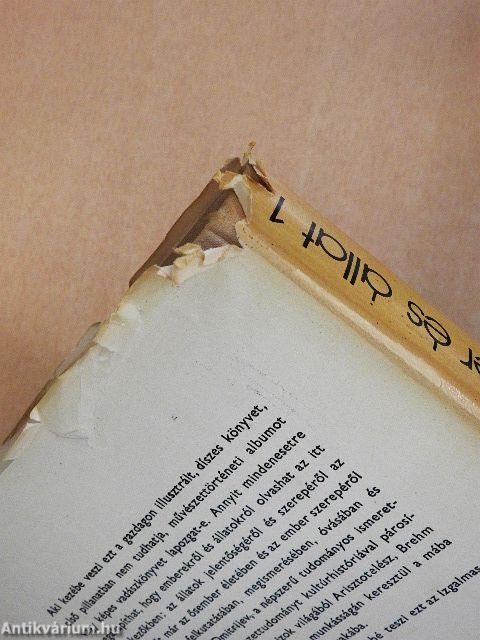 Ember és állat 1-2.