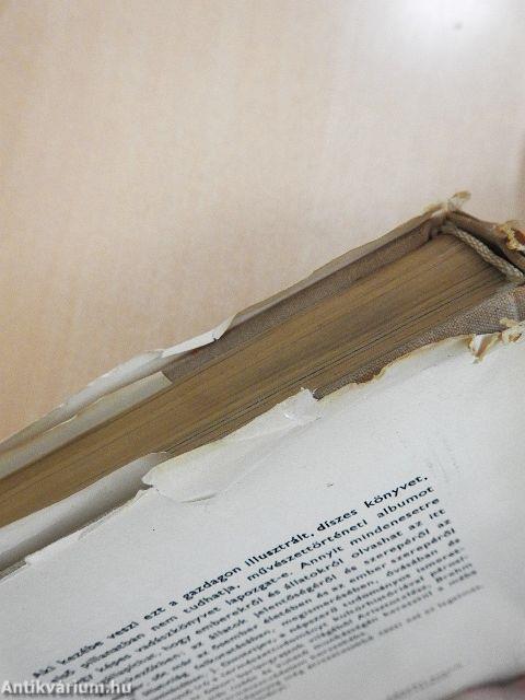 Ember és állat 1-2.