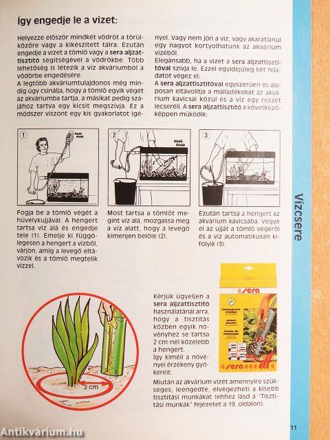 Az akvárium természethű ápolása és a vízszűrés
