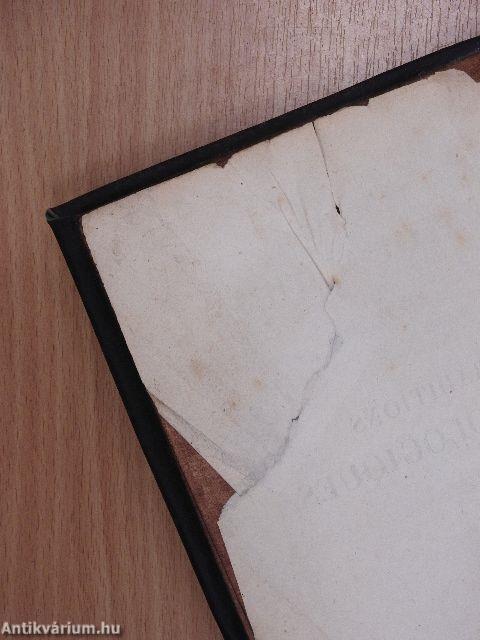 Traditions Tératologiques