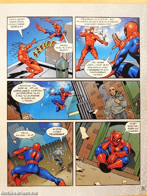 Spider-Man - Hősök és gonosztevők 22.