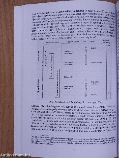 Tájrendezési aktualitások